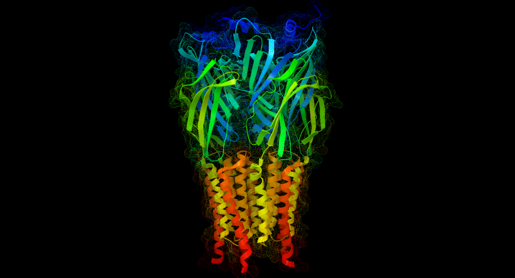 Hexamer protein