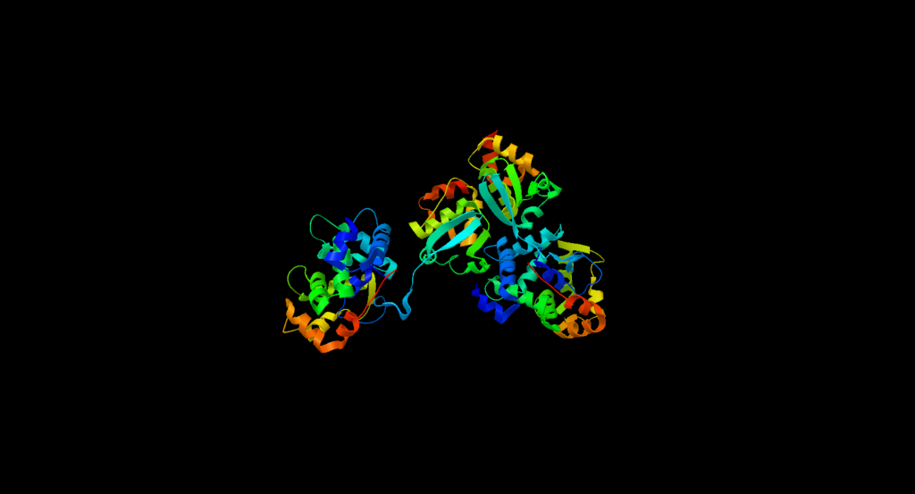 Protein Ribbon structure